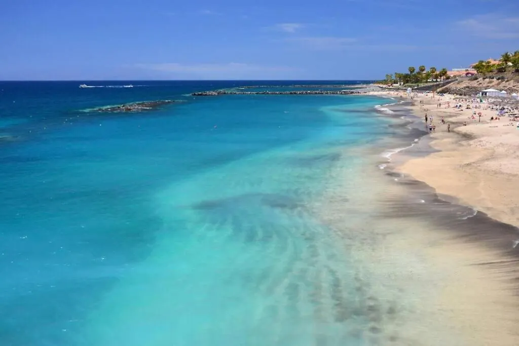 Vacation Home Studio Los Cristianos Arona  Arona (Tenerife)